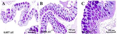 Cinnamaldehyde Promotes the Intestinal Barrier Functions and Reshapes Gut Microbiome in Early Weaned Rats